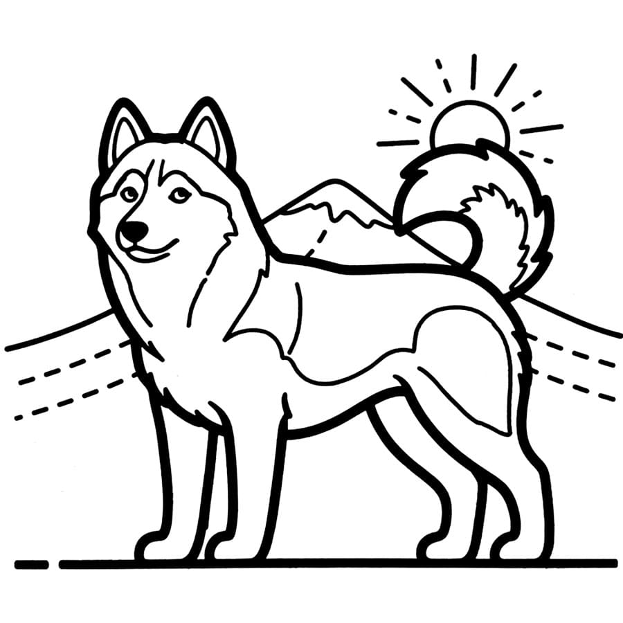 Husky di Tanah Sederhana