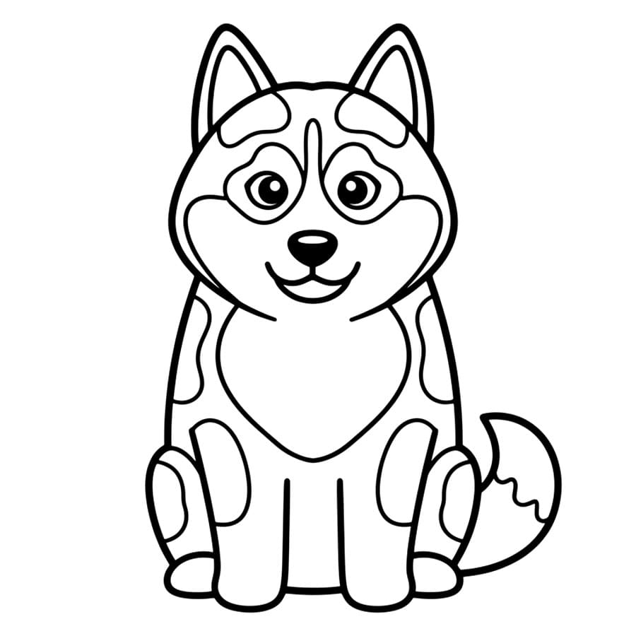 Husky Duduk Tampak Depan