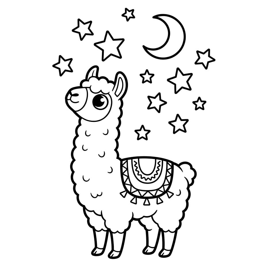 Llama Langit Malam
