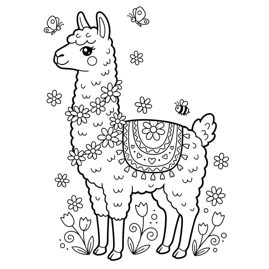 Llama musim semi