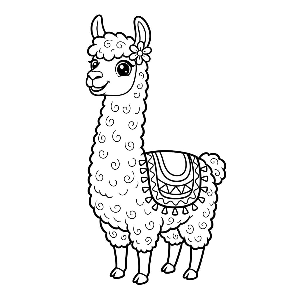 Llama yang tersenyum