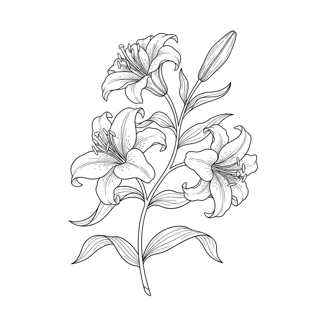 Ranting Bunga Bakung