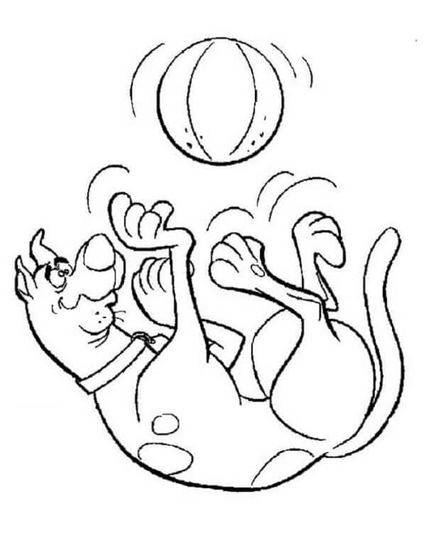 Scooby Doo bermain bola