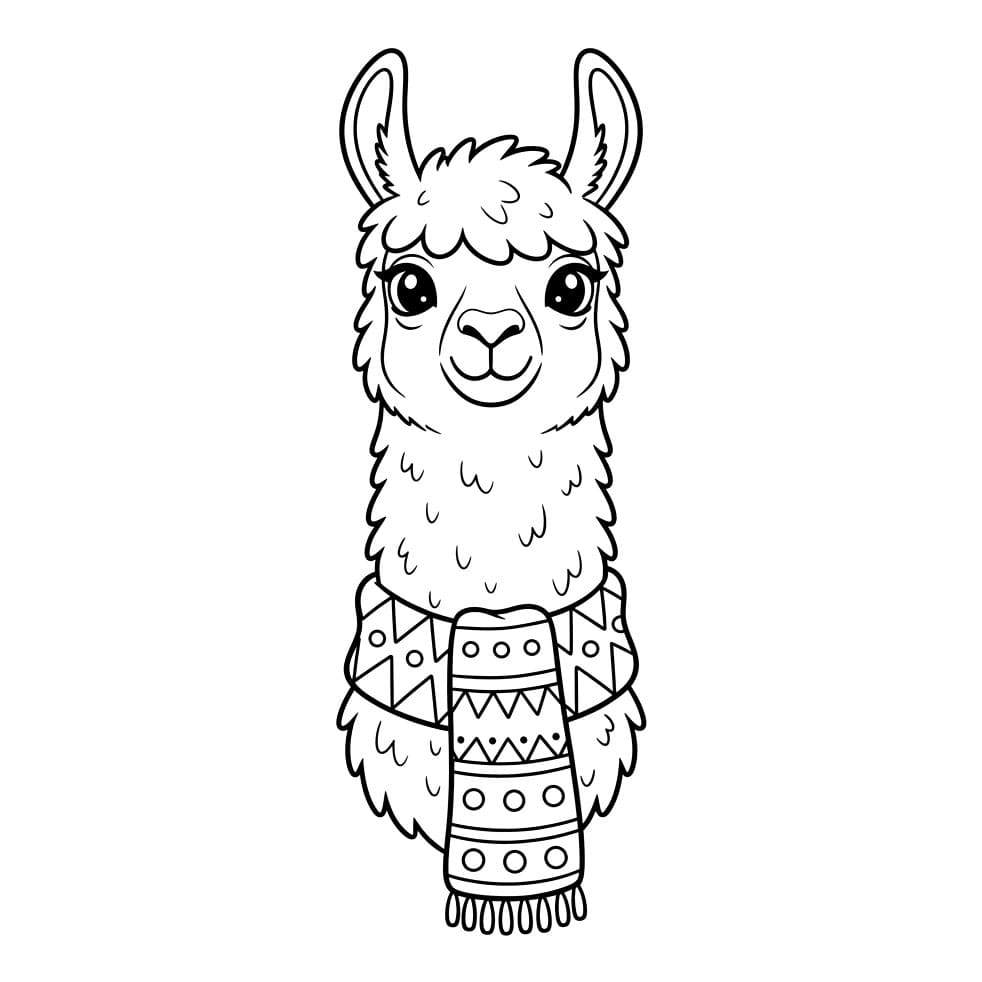 Syal Llama