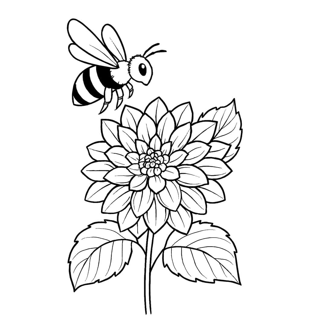 Tentang dahlia dan lebah