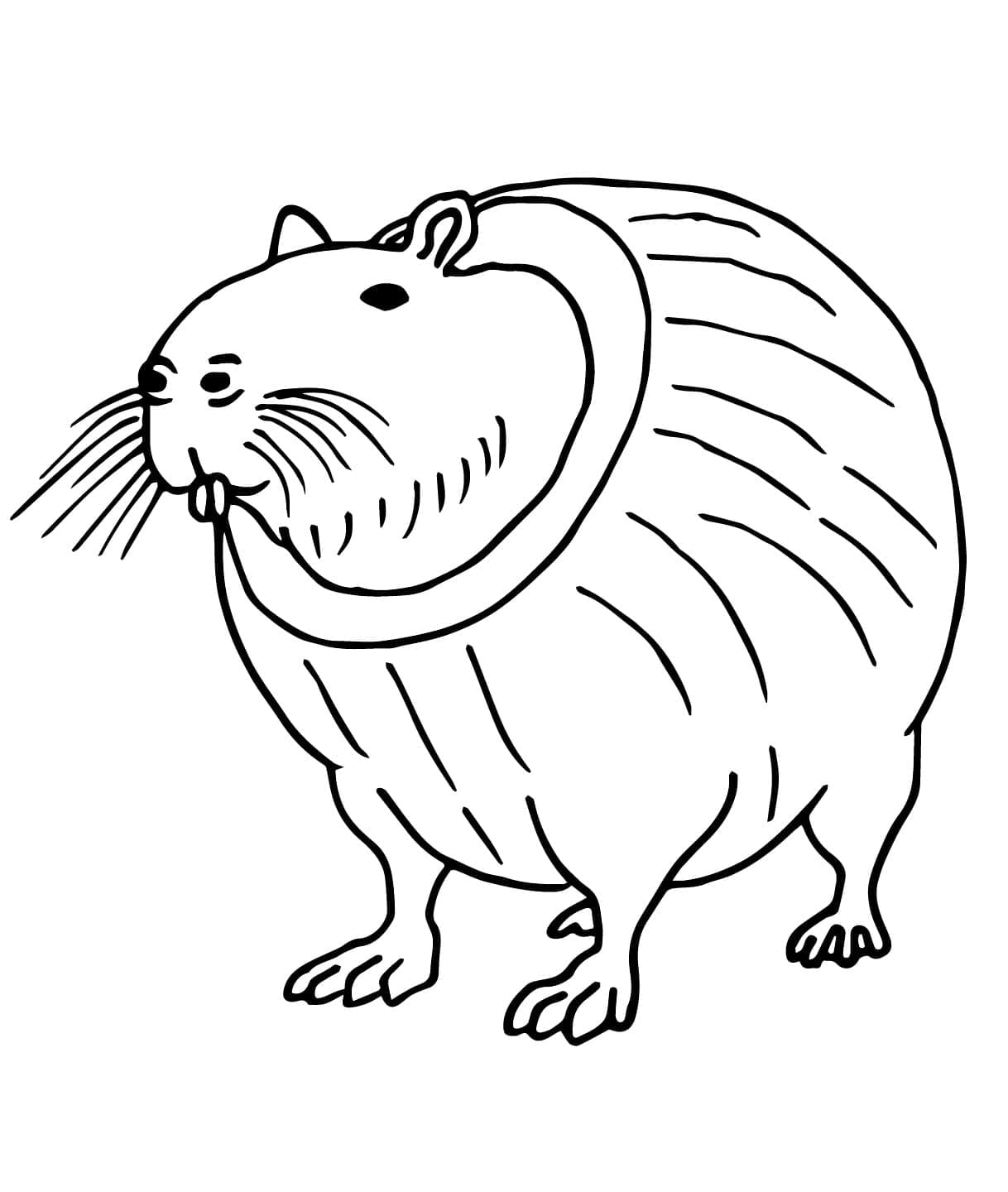 Brainrot Burbaloni Lulilolli