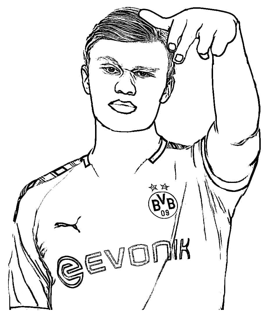 Erling Haaland Dapat Dicetak Gratis