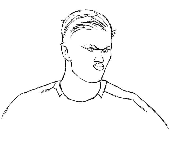 Erling Haaland dapat dicetak secara gratis