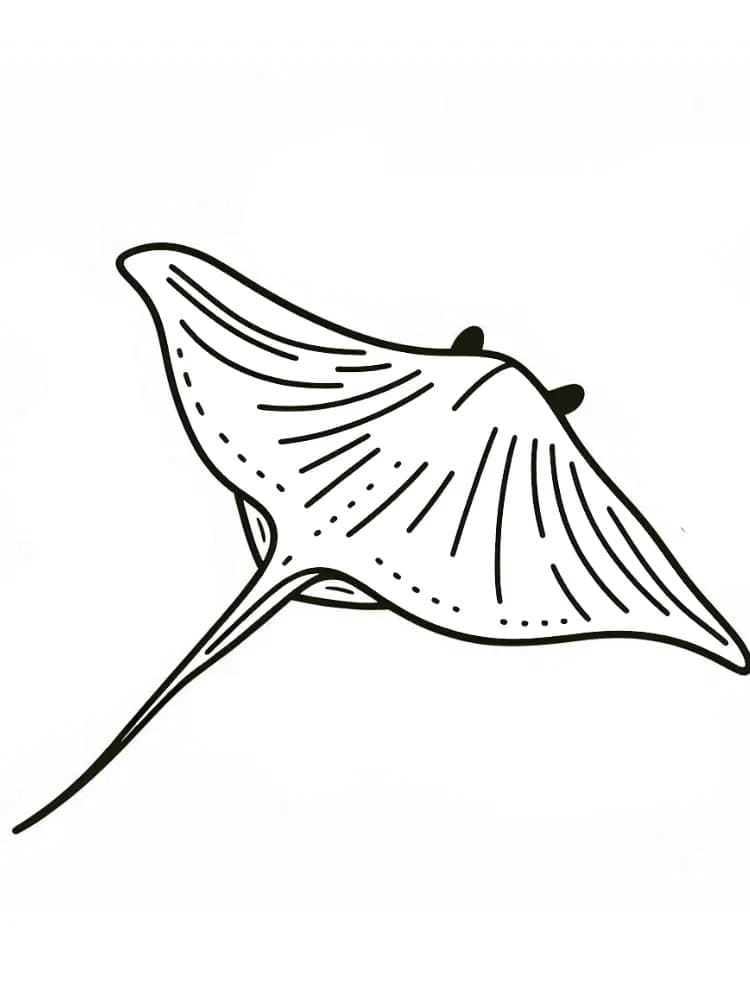 Ikan Pari Berenang gratis