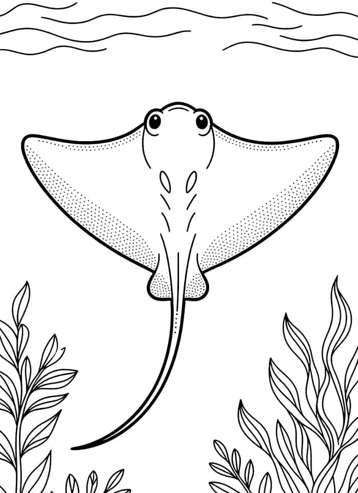 Ikan Pari yang Berenang