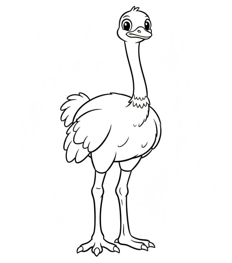 Burung unta berdiri diam