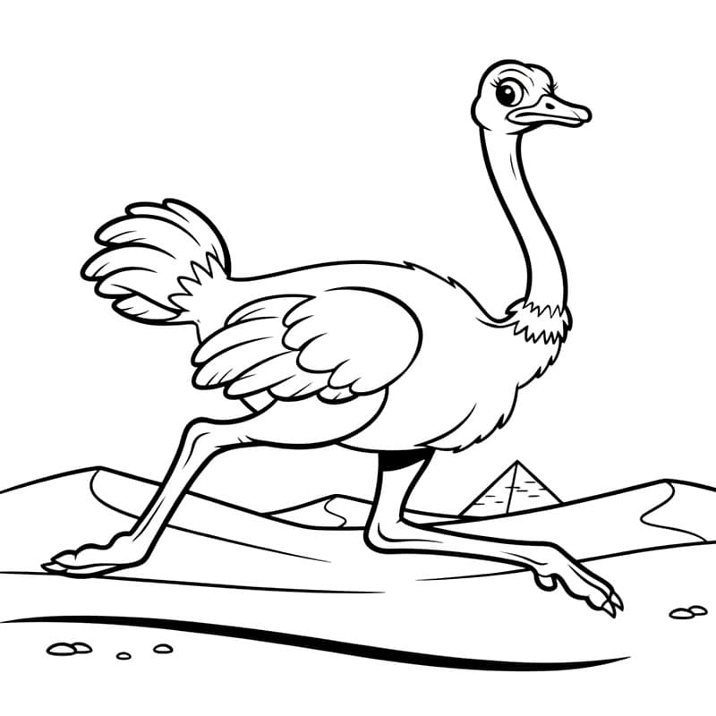 Burung unta berlari cepat