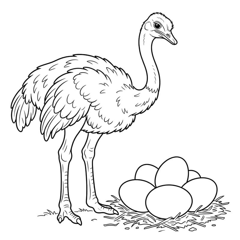 Burung Unta dengan Telur