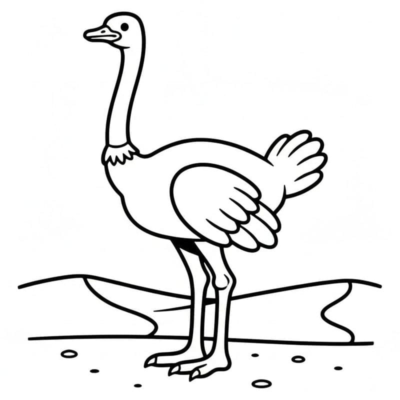 Burung unta di atas pasir