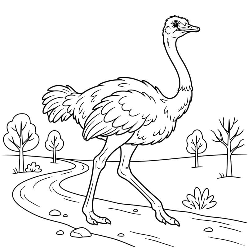 Burung unta di taman