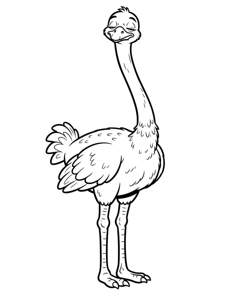 Burung unta tidur sambil berdiri