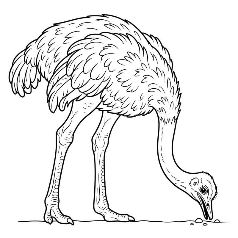 Burung Unta yang Mematuk