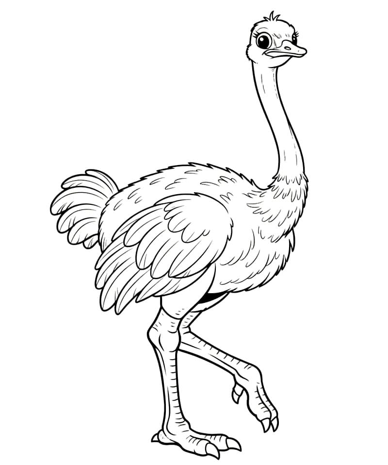 Gambar Garis Burung Unta