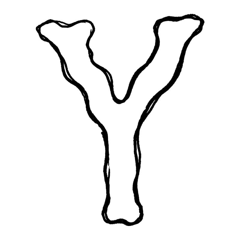 Huruf Y dengan bingkai organik