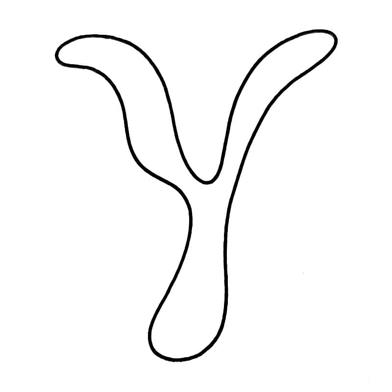 Huruf Y melengkung
