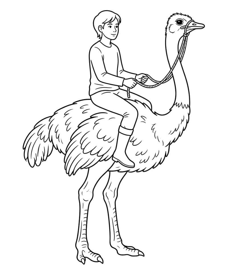 Menunggangi Burung Unta