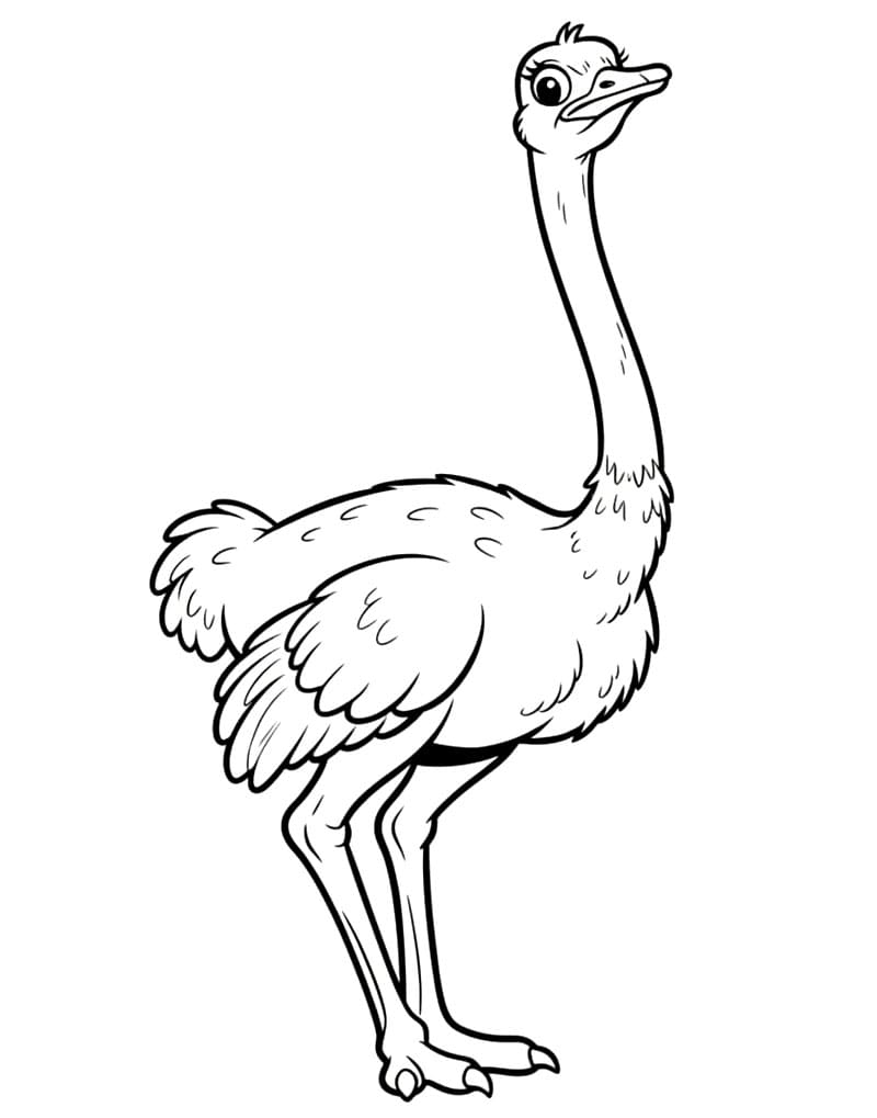 Peregangan Burung Unta