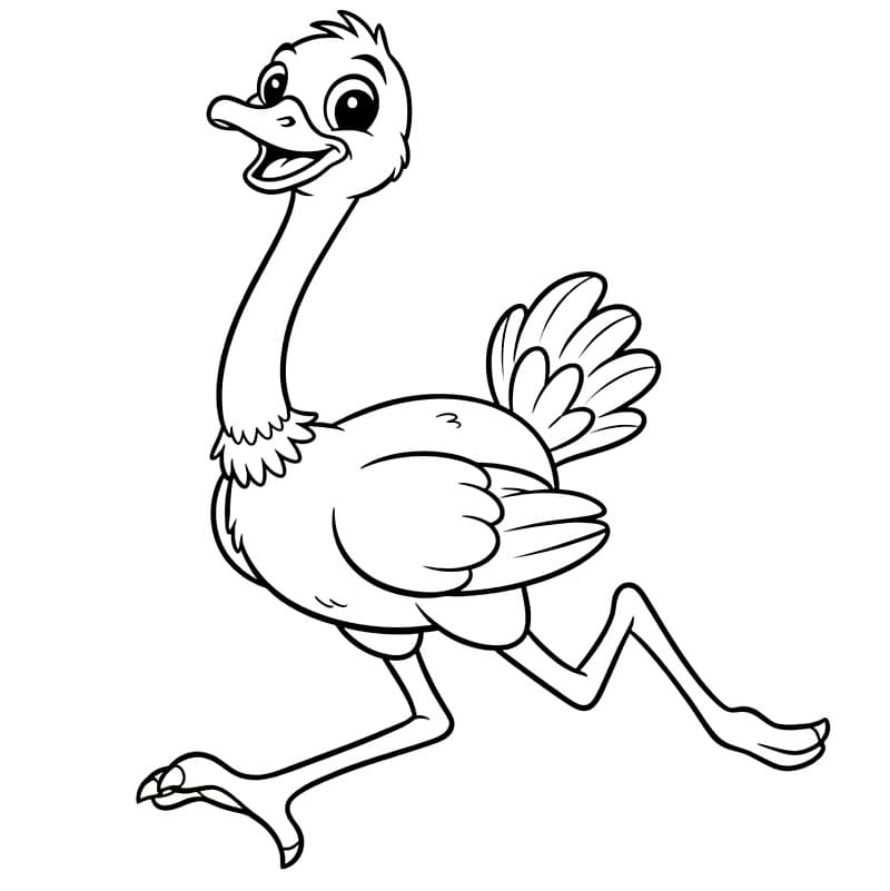 Tarian Burung Unta yang Bahagia