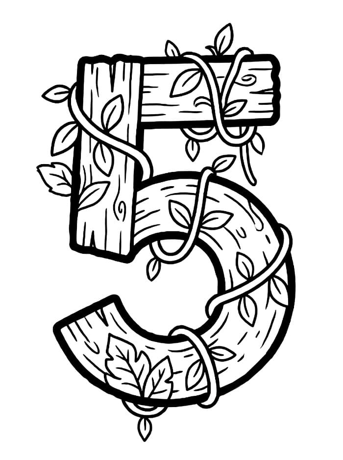 Angka 5 Hutan Hujan