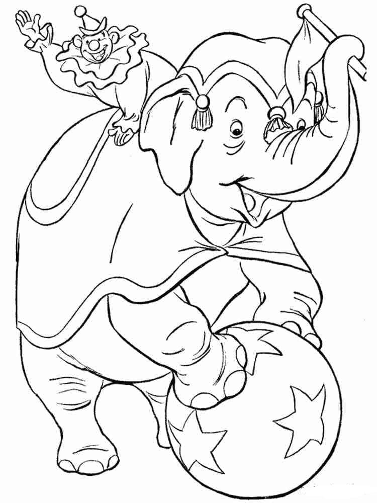 Badut Sirkus dan Gajah