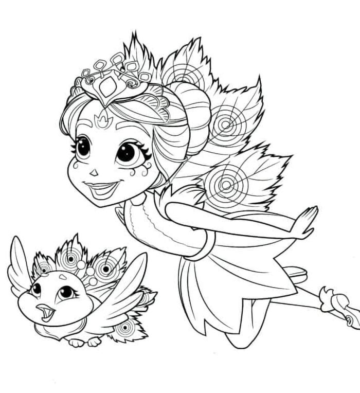 Patter Peacock dan Flap Terbang