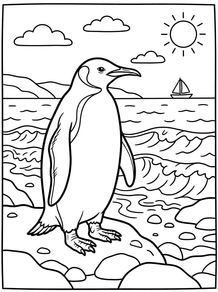 Penguin di dekat laut