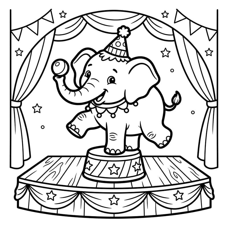Pertunjukan Gajah Sirkus