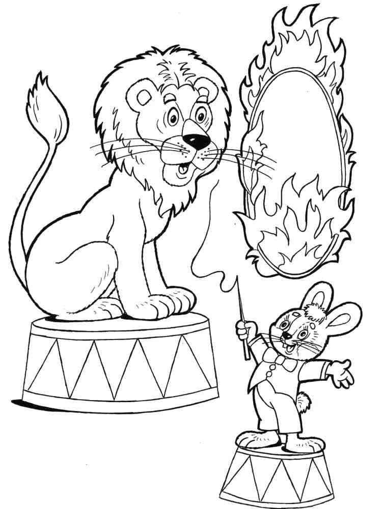 Singa dan Kelinci Sirkus