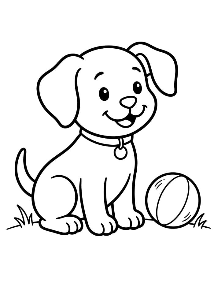 Anak Anjing Bermain Bola