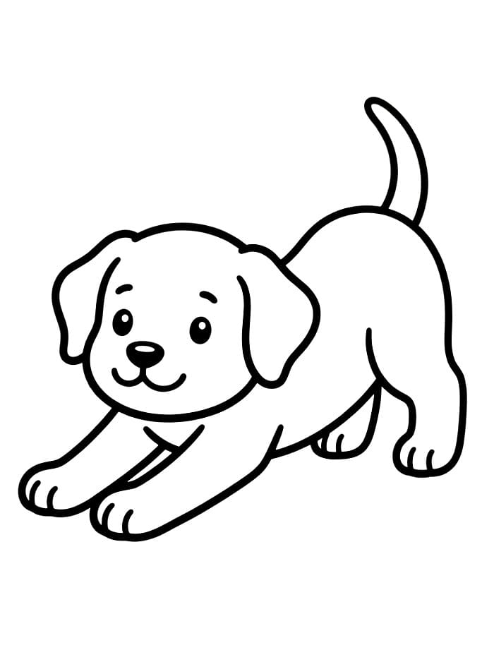 Anak Anjing Meregangkan Badan