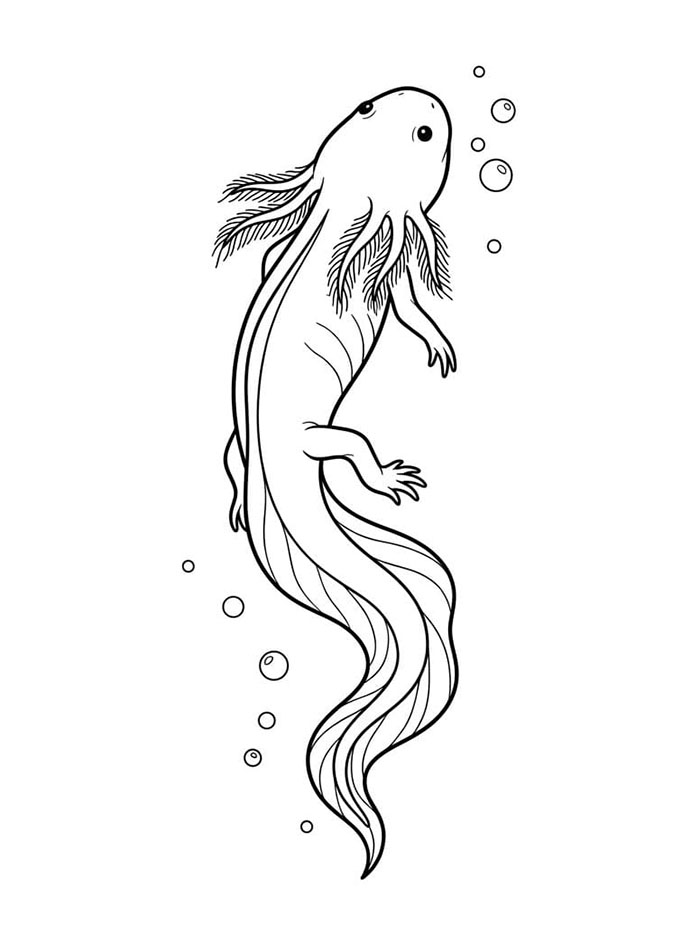 Axolotl dan air Gelembung