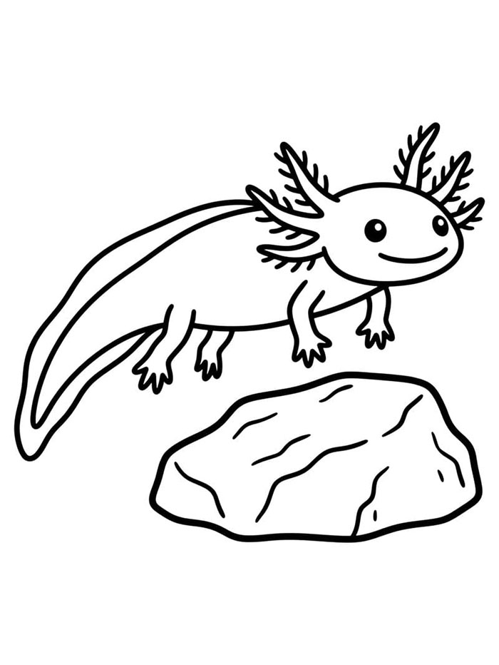 Axolotl dan bebatuan