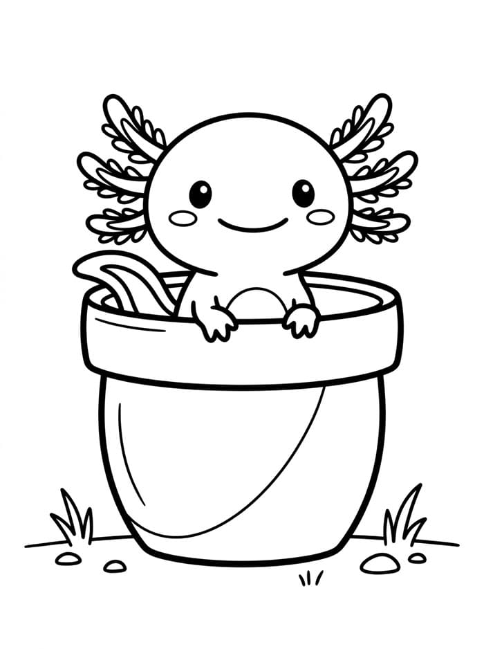 Axolotl dan panci