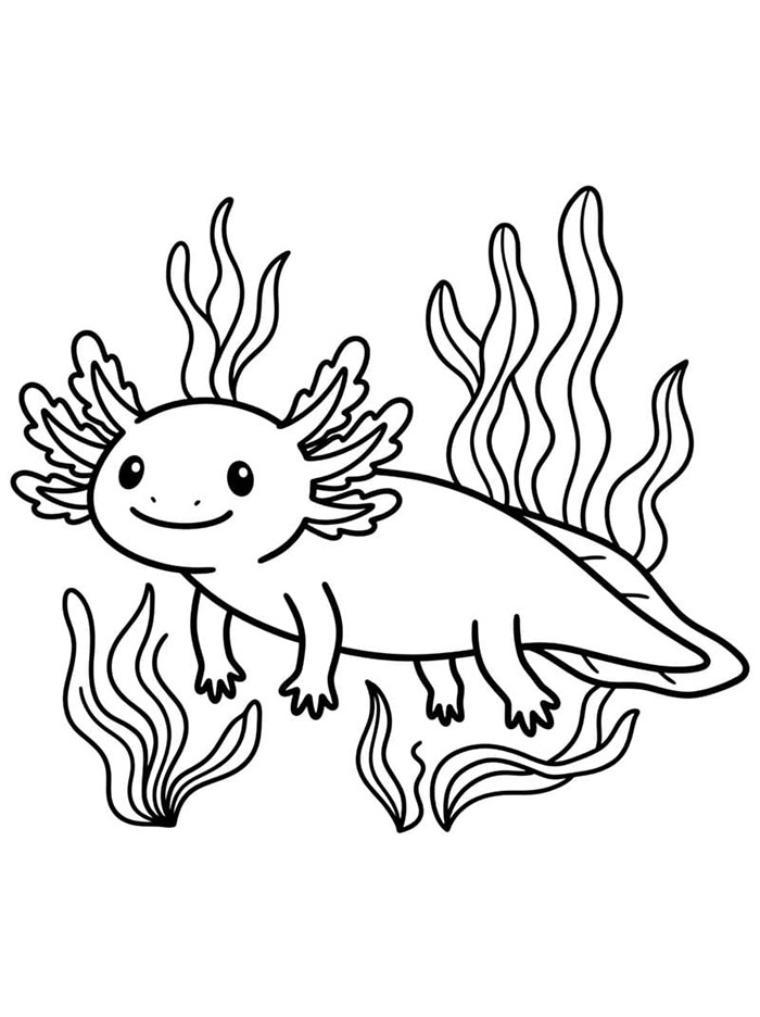 Axolotl dan rumput laut