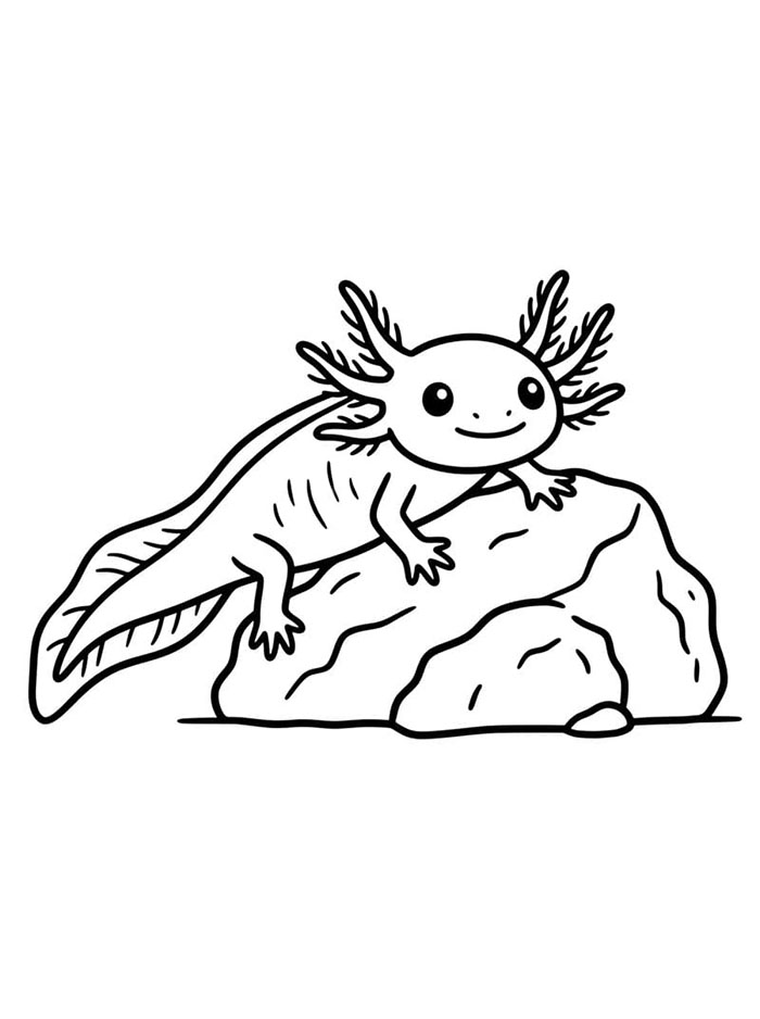 Axolotl dengan bebatuan