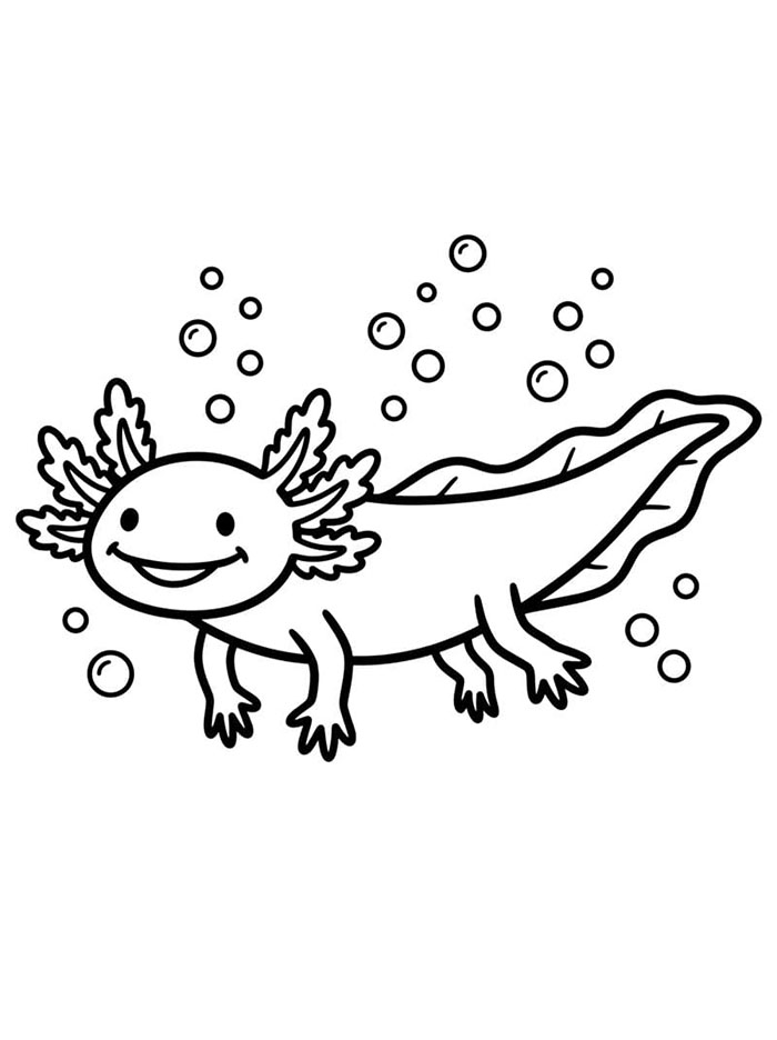 Axolotl dengan gelembung
