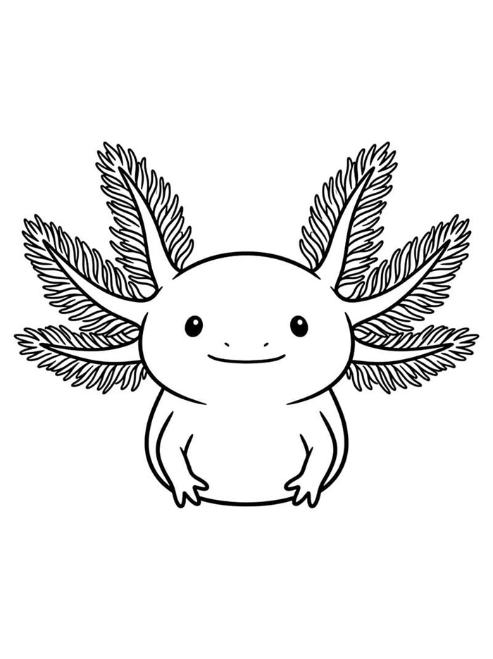 Axolotl dilihat dari depan