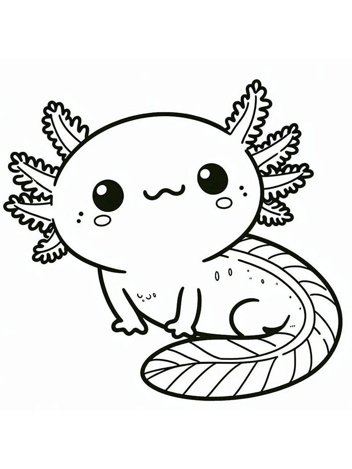 Axolotl gemuk