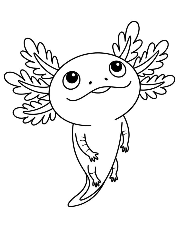 Axolotl melihat ke atas
