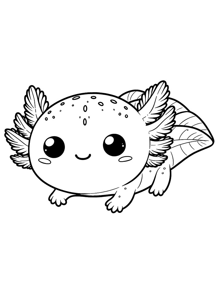 Axolotl sangat lucu