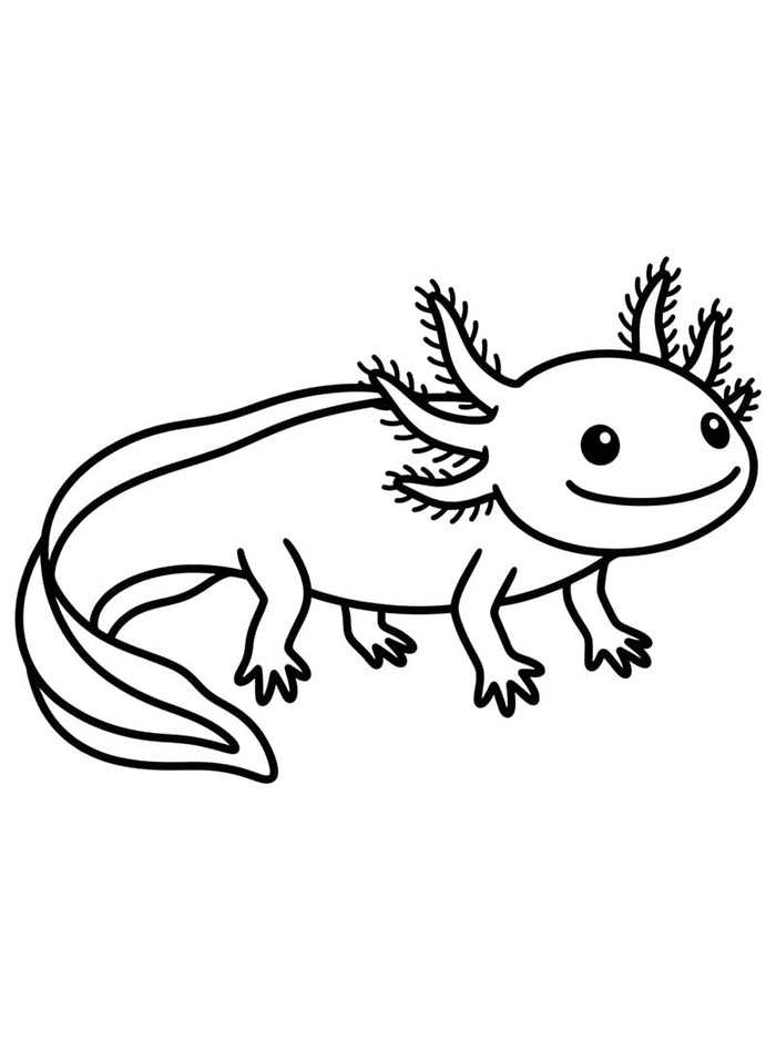 Axolotl sederhana dan bebas