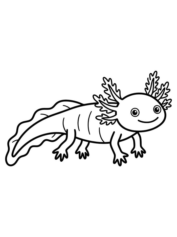 Axolotl Sederhana