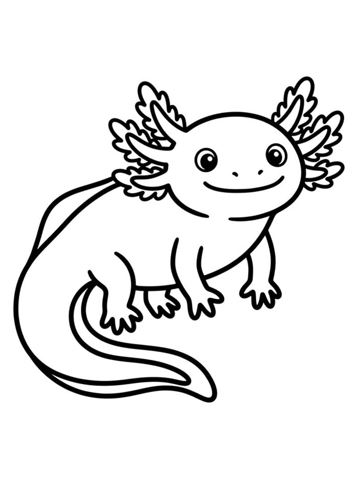 Axolotl tanpa