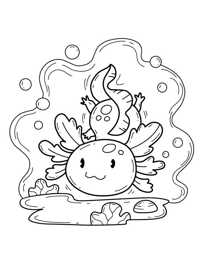 Axolotl untuk anak-anak