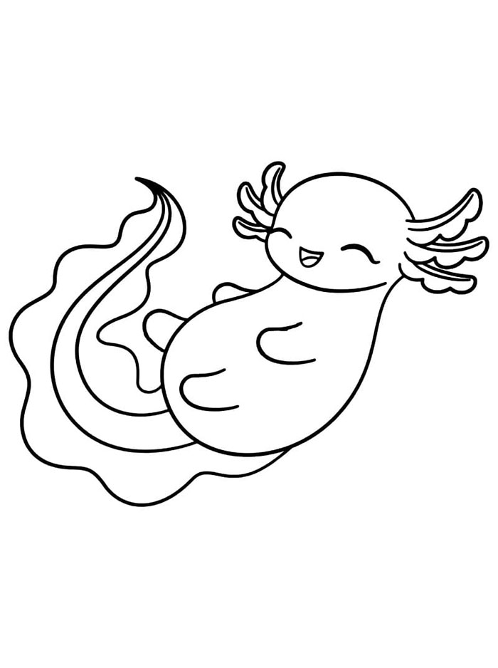 Axolotl yang cantik